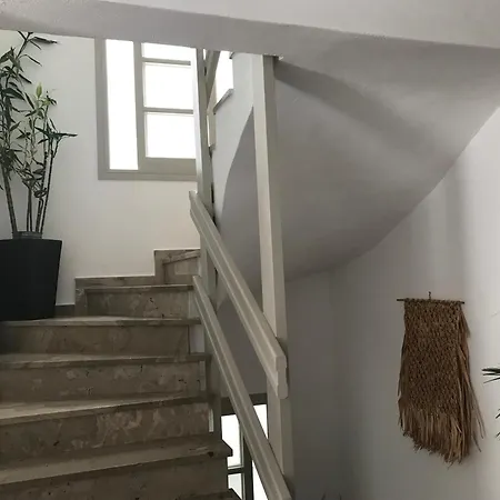Vassiliki Affittacamere Paro