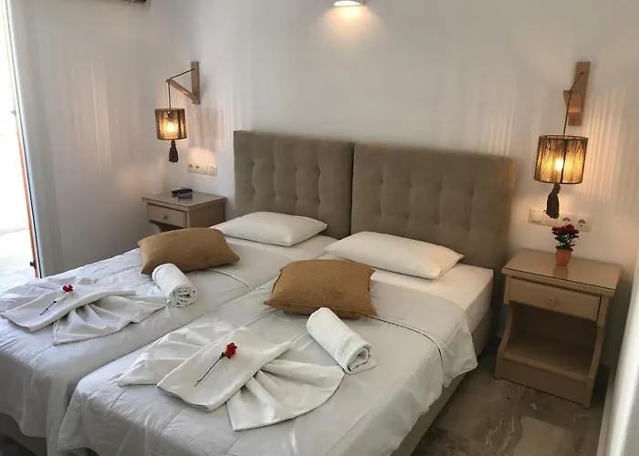 Vassiliki Casa de hóspedes 3*