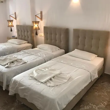 بيت ضيافة Vassiliki باروس