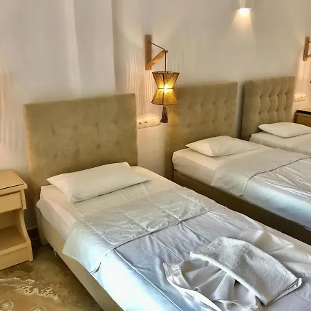 Vassiliki Guest house